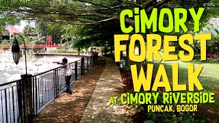 Cimory Forest Walk at Cimory Riverside