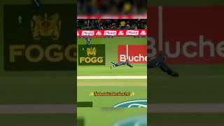 Great Catch 🥳✨ #cricket #ytshorts #cricketshorts #pakvsnz #status #cricketvideo #viralvideo