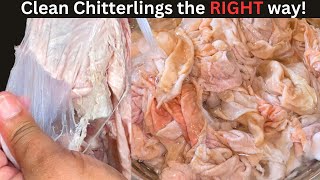 How to clean CHITLINS aka CHITTERLINGS | Tanny Cooks -  #SoulFood