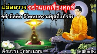 ฟังธรรมะก่อนนอน ปล่อยวาง อย่าแบกเรื่องทุกข์ ชีวิตพบสุข🙏ใจสบายขึ้น(1024)16