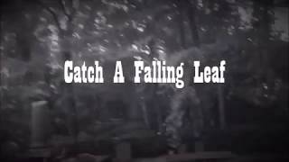 Catch A Falling Leaf - Ad Vanderveen