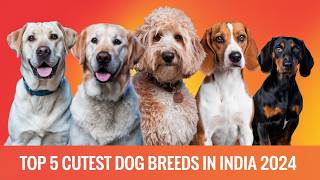 Top 5 Cute Dog Breeds in India 2024 | भारत में सबसे प्यारे कुत्तों की नस्लें