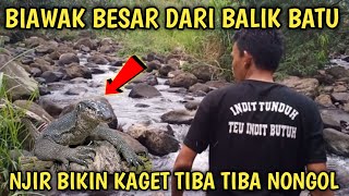 Berburu biawak penghuni kali cinangneng