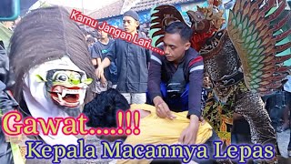 Ngeri!! Kepala Macan Lepas Dari Lehernya ||  Atraksi Macan Macanan || Jaranan Lancing Purwo Pangestu