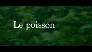 aquascape | le poisson