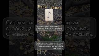 t.me/drekaruna РУНЫ расклады ТАРО абонементы ЛИЧНЫЕ ПРИЁМЫ