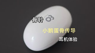 骨聆SS900 SE骨传导耳机体验:狂甩不掉,音质绝佳