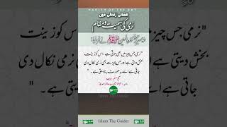 Hadees  | #wazifa #allah #subhanallah #fyp  #wazifaforlove #rizaqkawazifa #shorts #hadees #top