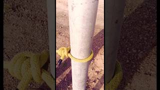 Useful Knots Trending #diy #vtuber #trending #views #shorts