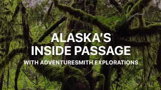 Alaska's Inside Passage by Alison Abbott