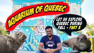 A visit to Aquarium of Quebec | Fishes, Sharks, Turtle and much more| CTN Vlog