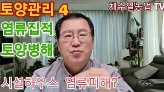 시설하우스 염류집적 장해  연작으로 토양병해 심각~