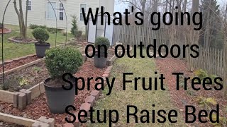 What's Going on Outdoors, Spray Fruit Trees & And Setup Raise Bed [ Zone 7B Gardening Waldorf MD.]