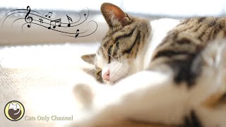 Calming Music for Cats - Harp Music and Water Sounds, Relaxing Music, Sleep Music