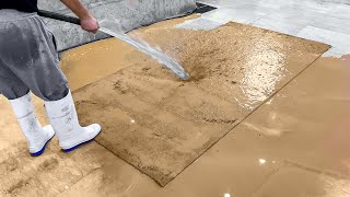 Cleaning the Dirtiest Rug Ever -Carpet Cleaning Satisfying Rug Cleaning ASMR - Satisfying Video