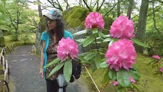 Hogon-in Temple Arashiyama: Fusuma traditional paintings and strolling pond garden