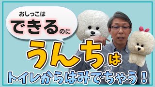 【犬のしつけ】うんちだけトイレで出来ない【悩み相談ライブ切り抜き】