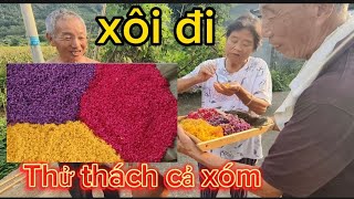 🌈169🌾Thử thách Dâu Việt nấu xôi mời cả xóm cái kết ra sao? Bất ngờ, thú vị của người Trung Quốc