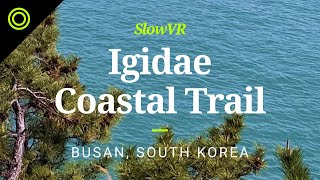 Sunny City View From the Igidae Coastal Trail - Busan, Korea [Slow VR 360° Video & Sound]