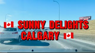 Blissful Days in Calgary! Alberta - Canada #calgary #alberta #canada