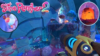 Fluttering Through The Starlight Ruins! Slime Rancher 2 Part 5