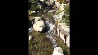 Waterfall at Japanese Friendship Garden