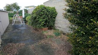 This Customer NEEDED Help Badly | A FREE Overgrown Transformation