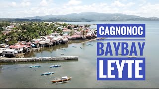 Cagnonoc Baybay, Leyte | Drone shot 4K