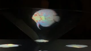 DIY HOW TO MAKE 3D hologram projector at home.