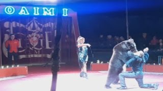 Circus / Цирк / Номер с животными / The show of different animals