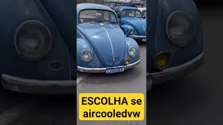 escolha aa teu fuska#carroclassico #mobile#vwaircooled