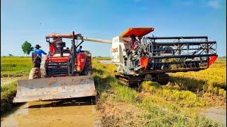 Best Combine Harvester Working Skills | Kubota DC105x harvest rice machine | Agricultural machinery