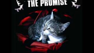 The Promise - No Joy