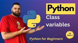 What are class variables?