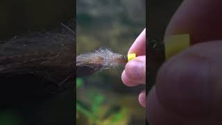 The Crafty Micro Popper #flytying #timelapse #shorts #timelapse