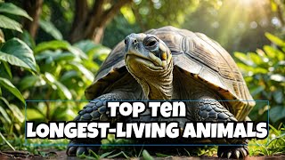 Top Ten Animals That Can Live the Longest