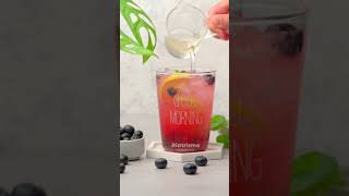 Blueberry Mojito Sparkling Lemonade Resep Blueberry Lemon Pakai Air Soda Rasanya Segar Banget