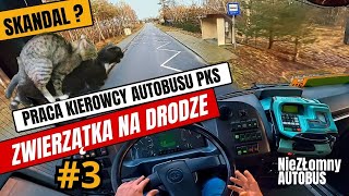 PRACA KIEROWCY AUTOBUSU w PKS -  WYBIEGŁO I CO TERAZ ?