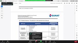 CAT SUNAT 2023 Curso Aduanero Tributario BASES DEL PROCESO DE SELECCION 2023