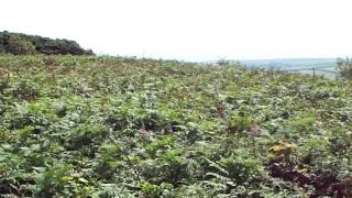 The Isle of Wight as Seen from Mottistone.wmv