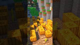 Aesthetic Pumpkin farm - Minecraft 1.21