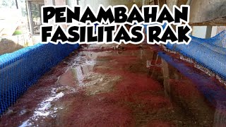 PENAMBAHAN FASILITAS RAK CACING SUTRA