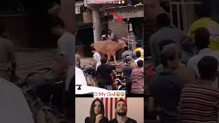 Hombres Intentan Detener a un Animal en Plena Ciudad sin Hacerle Daño #shorts #status #short