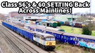 CLASS 56's & 60's SETTING BACK Across the Mainlines! GRIDS & TUGS!