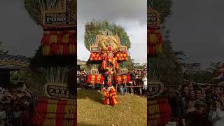 Reog Naik Reog