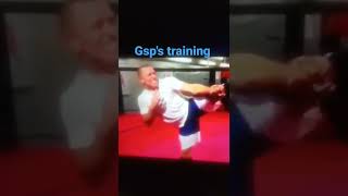 Joe Rogan and George rush st-pierre UFC training