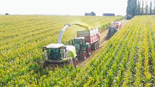 🌽Ensilage de maïs avec de très beaux ensembles dans l'Oise ‼️