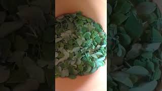 drumstick leaves || moong ki bhaji