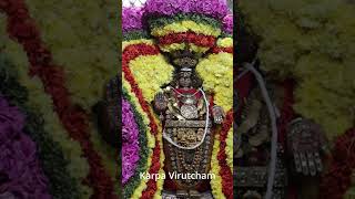 Kandhakottam Murugan #shorts #ytshorts #murugan #dharisanam