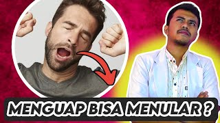 Kenapa Kita Menguap dan Apakah Menguap Menular ?